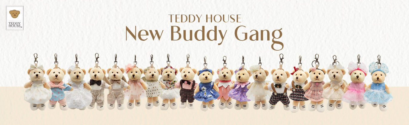 Teddy House promo