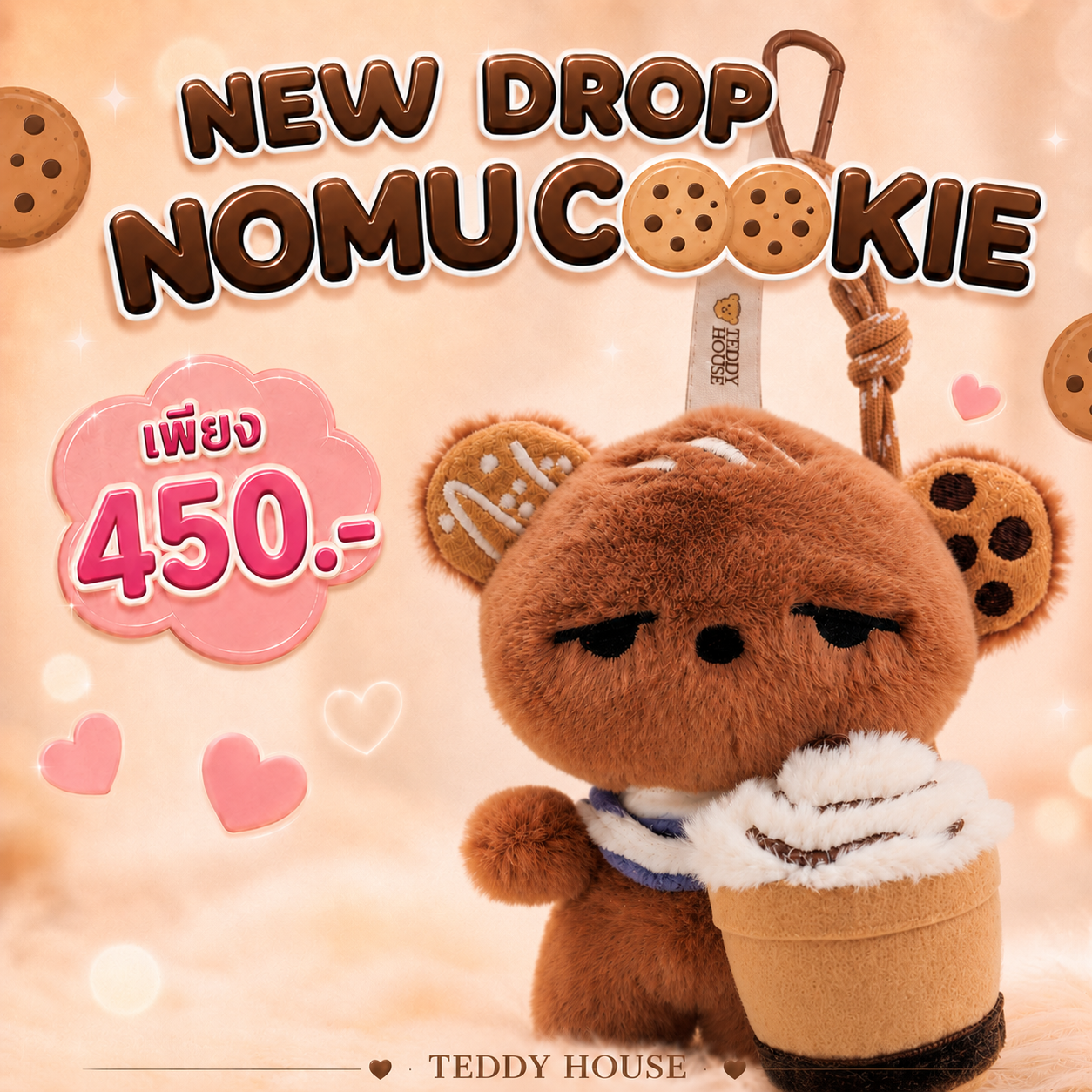 Teddy House promo