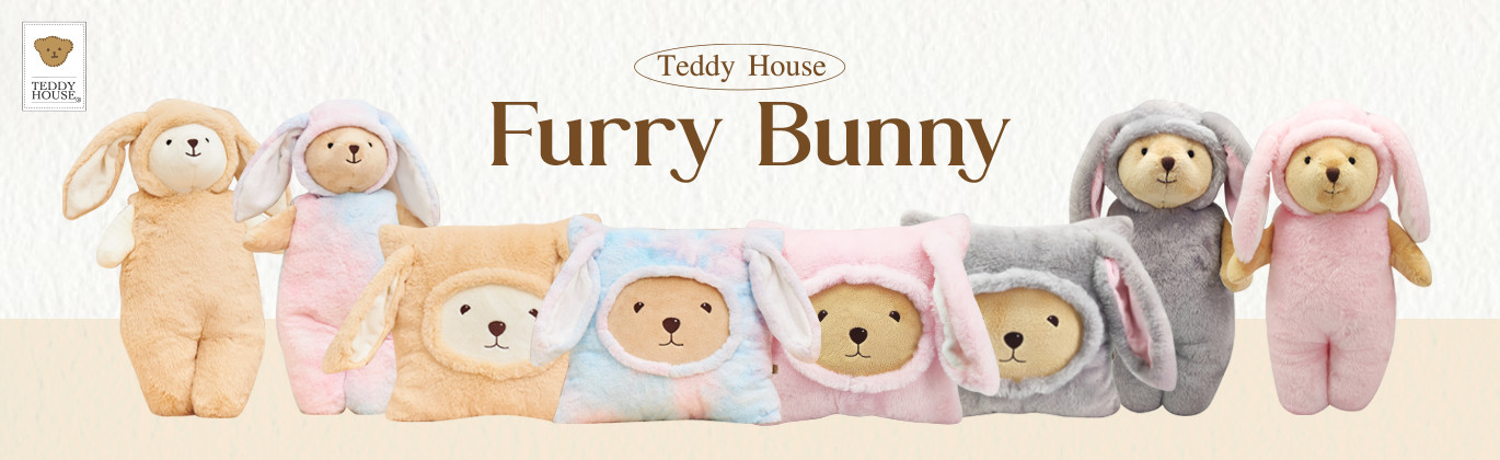 Teddy House promo