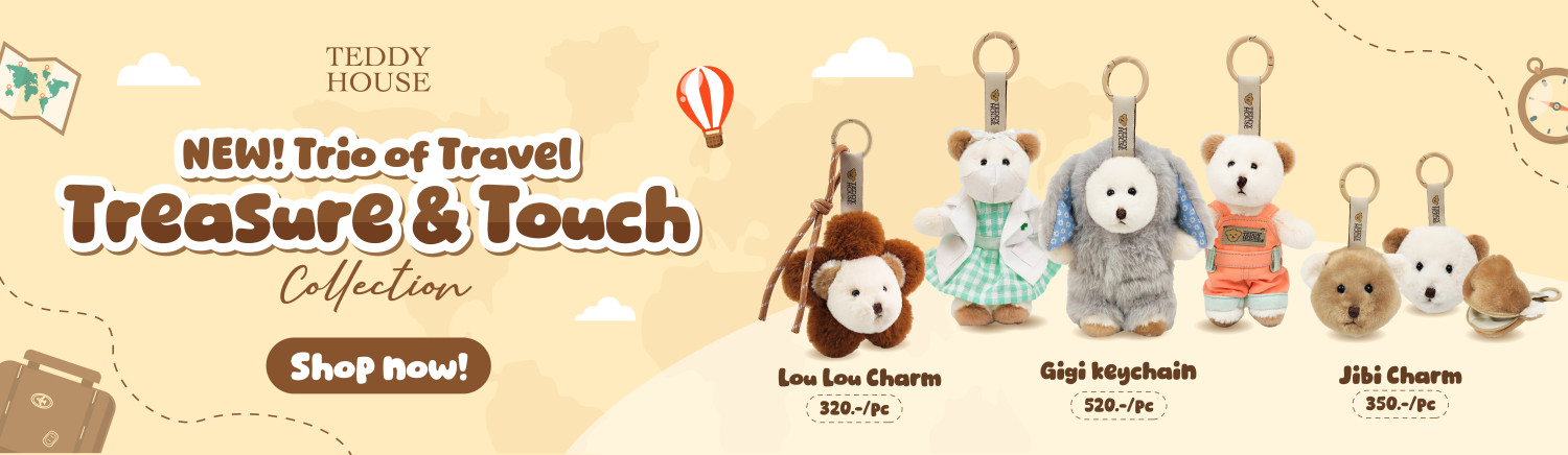 Teddy House promo