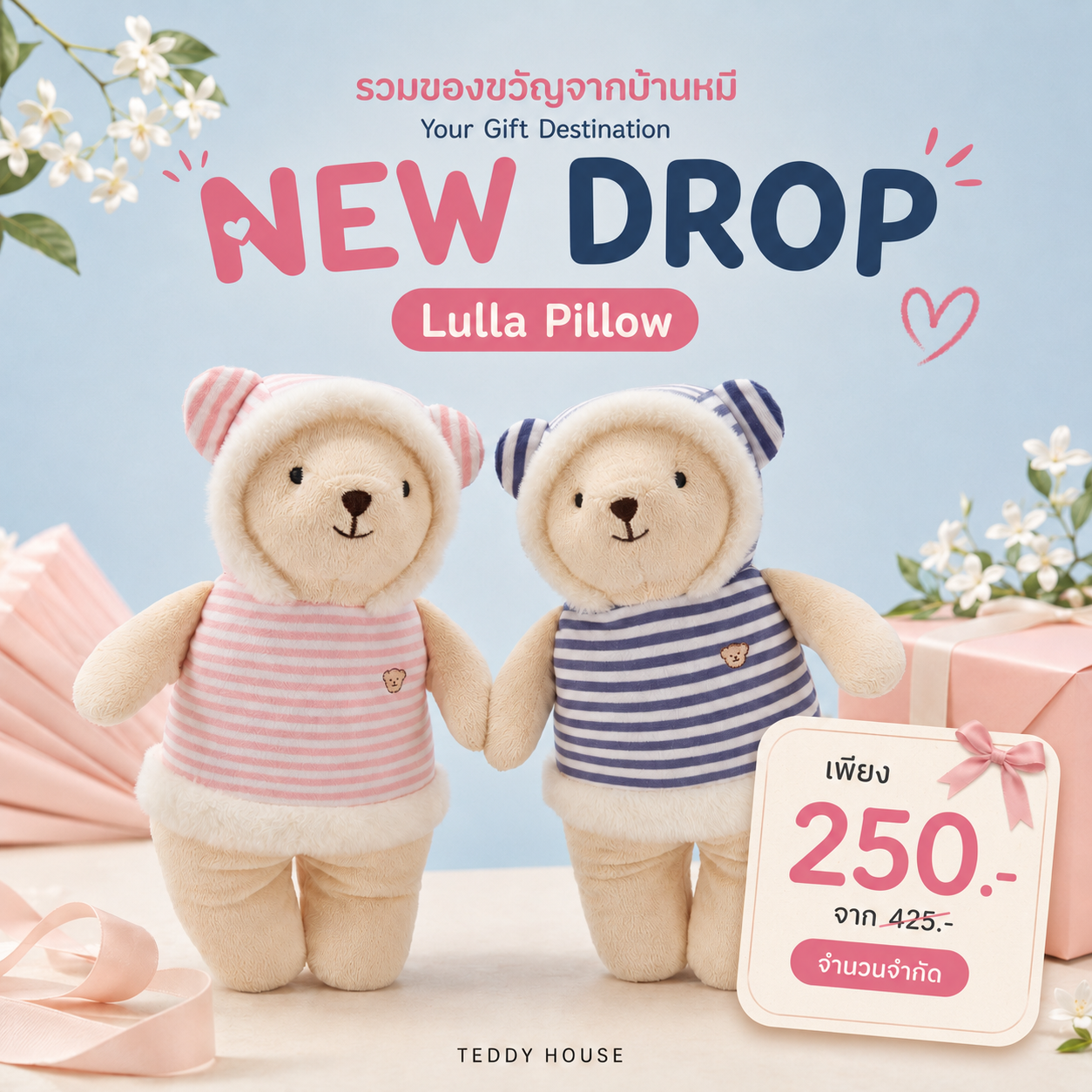 Teddy House promo