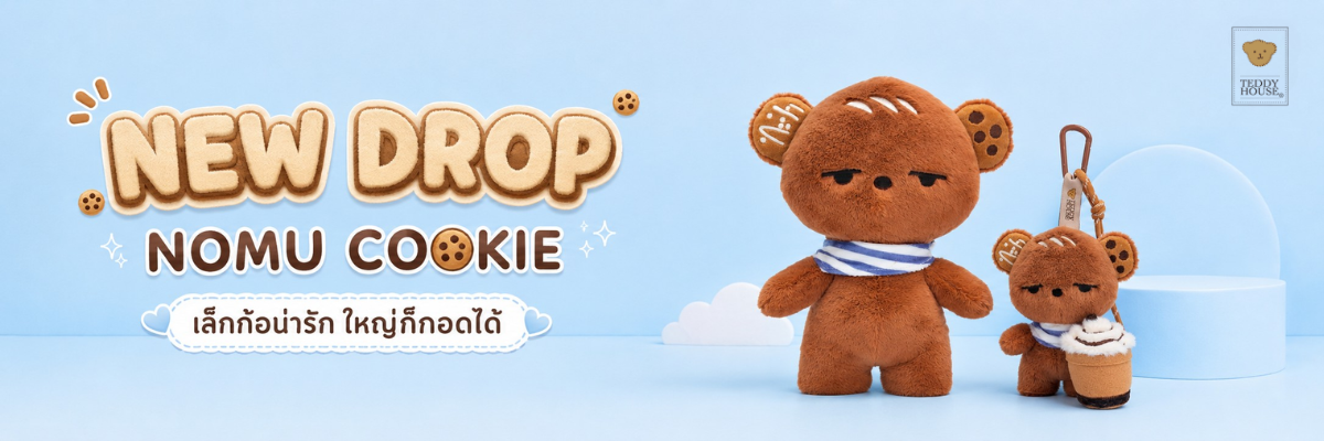 Teddy House promo