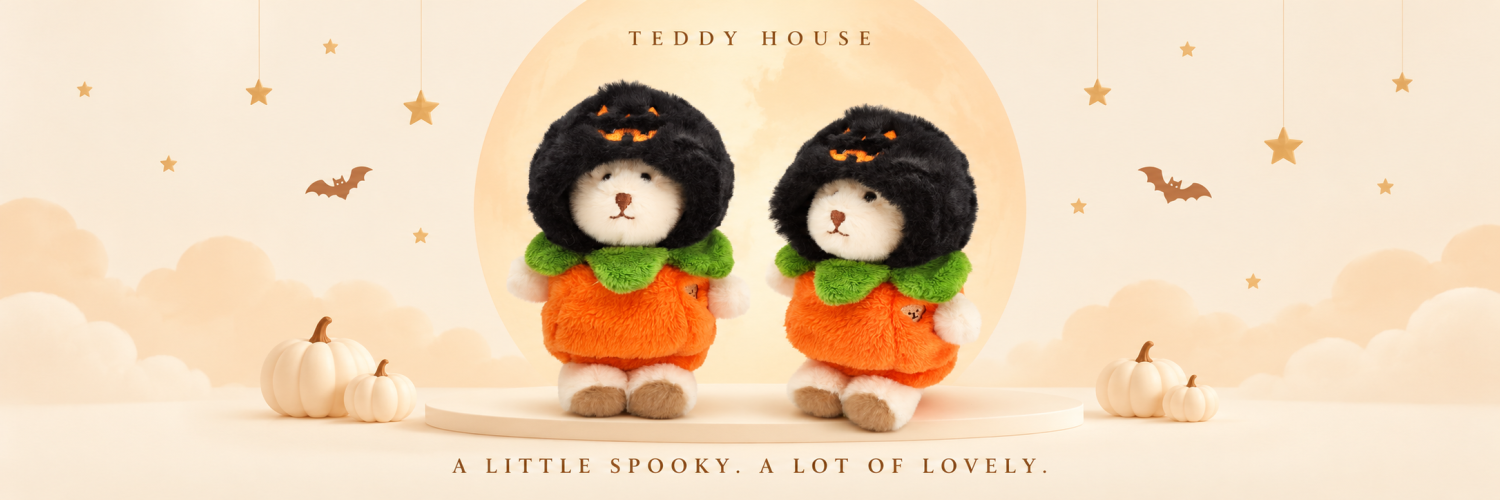 Teddy House promo