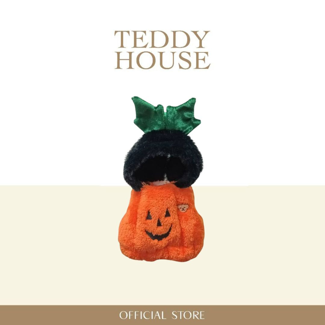 Aroma Outfit Pumpkin Collection : Pumpkin 6 Inch